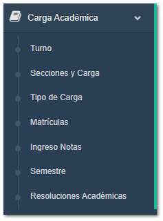 5.3. Carga Académica