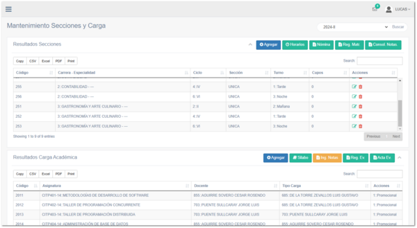 5.3.4. Secciones y Carga