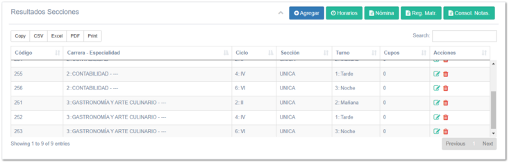 5.3.4. Secciones y Carga
